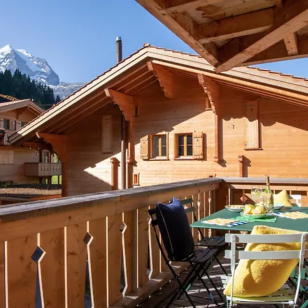 Panoramapark Soleil E 3 Apartment Wengen