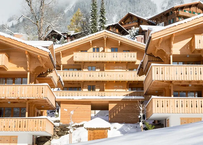 Apartment Panoramapark Soleil E 3 Wengen